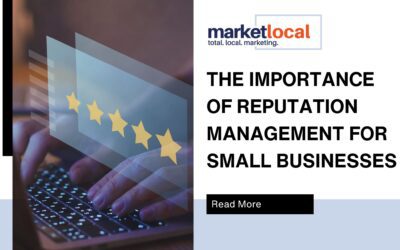 The Importance of Reputation Management for Small Businesses